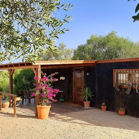 Preciosa Casa De Madera, Andalucia Villa Prado del Rey Kültér fotó