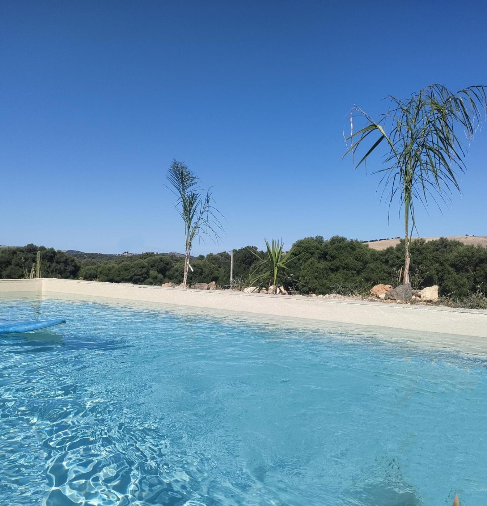 Preciosa Casa De Madera, Andalucia Villa Prado del Rey Kültér fotó