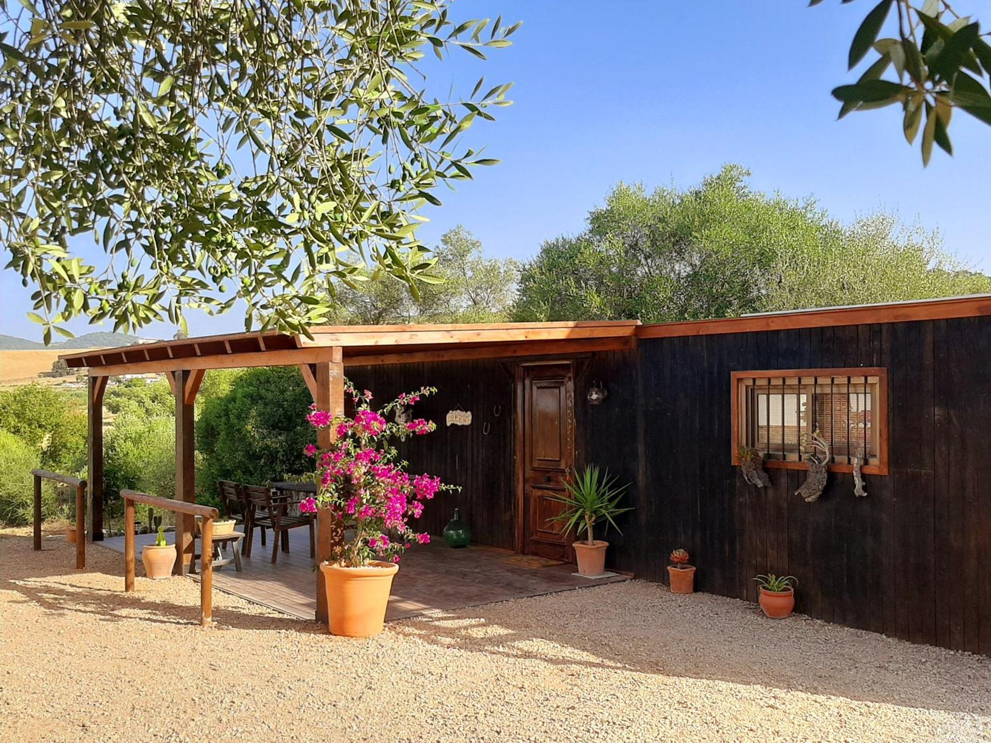 Preciosa Casa De Madera, Andalucia Villa Prado del Rey Kültér fotó